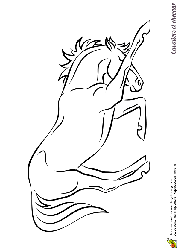 Coloriage Cheval Et Chat