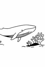 Coloriage d'une baleine bleue sous l'eau