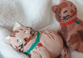 Chat en p&acirc;te &agrave; sel