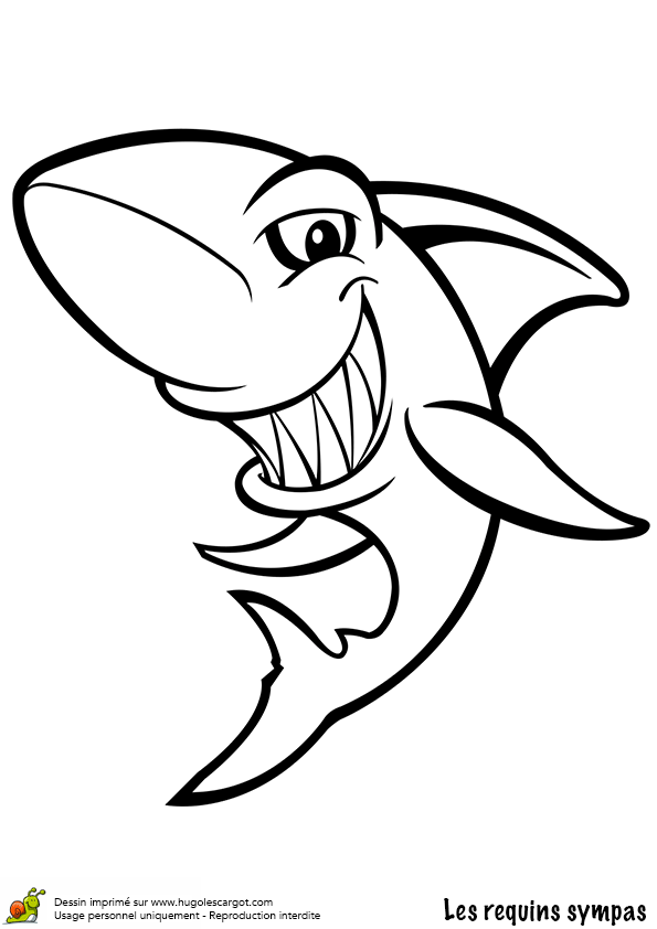 Coloriage De Requin A Imprimer