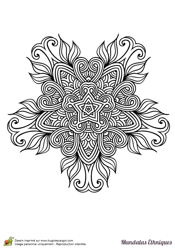 Coloriage mandal ethnique fleur sauvage