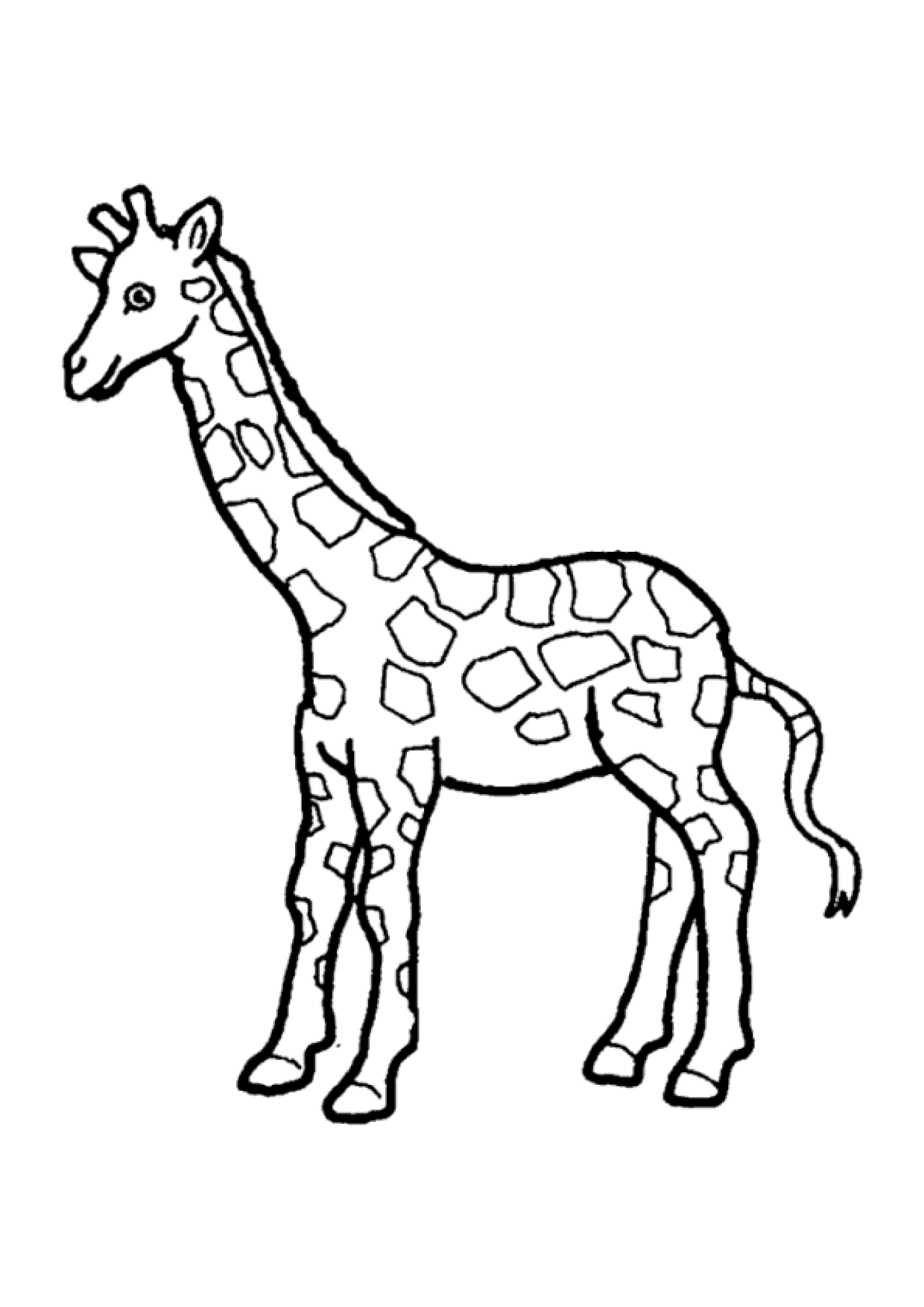 Coloriage Girafe 5 Sur Hugolescargot Com