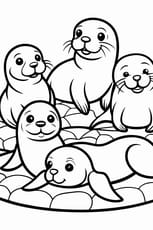 Coloriage d'une famille d'otaries