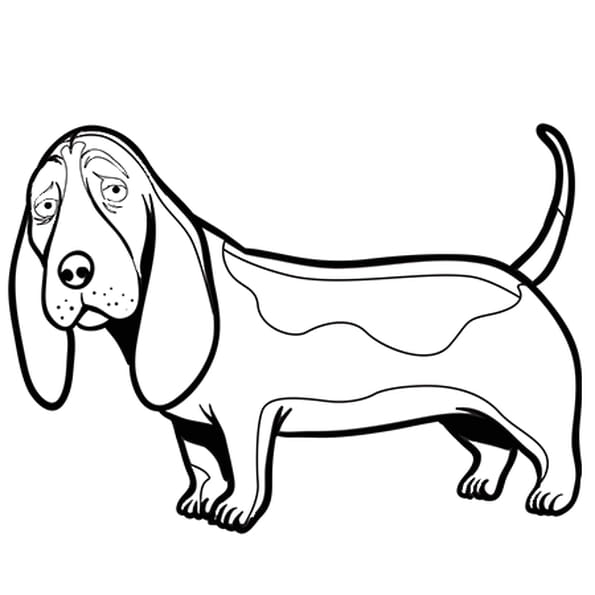 Coloriage A Imprimer Gratuit De Chien