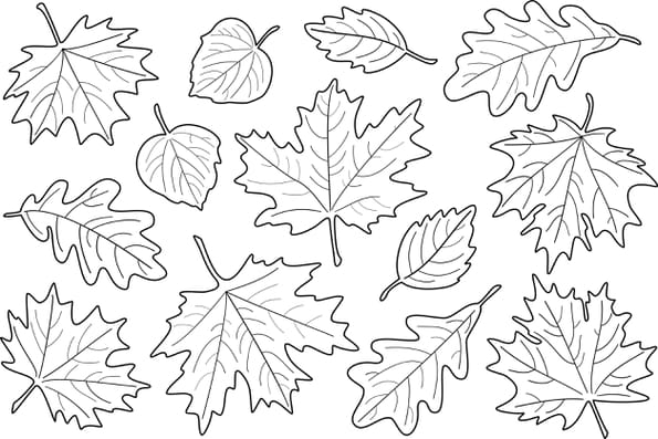 Coloriage multiples feuilles d'automne