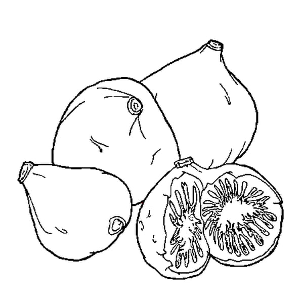 Coloriage Figue En Ligne Gratuit Imprimer