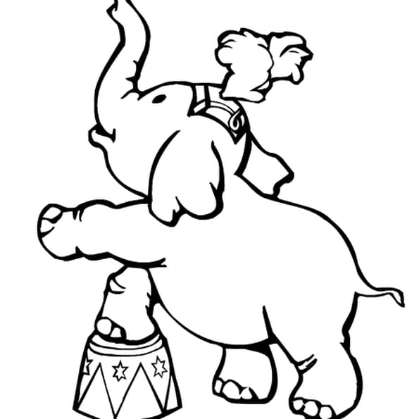 Coloriage A Imprimer Sur Le Cirque