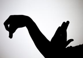 Les 10&nbsp;ombres chinoises les plus faciles