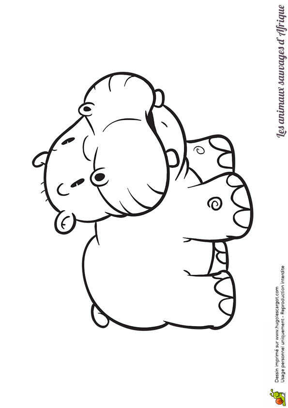 Coloriage Animaux D Afrique A Imprimer