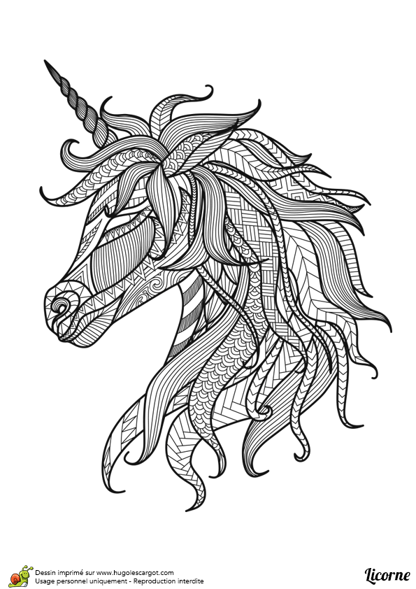 Coloriage De Cheval Et De Licorne