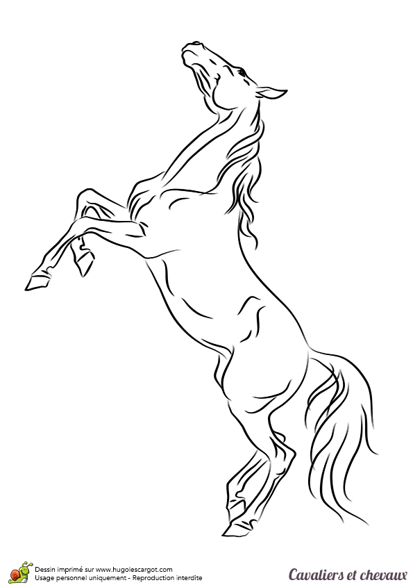 Coloriages De Chevaux Sauvages Pour Enfants