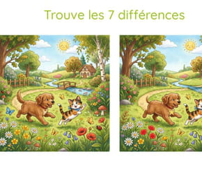 Jeu des 7&nbsp;diff&eacute;rences&nbsp;: chien et chat