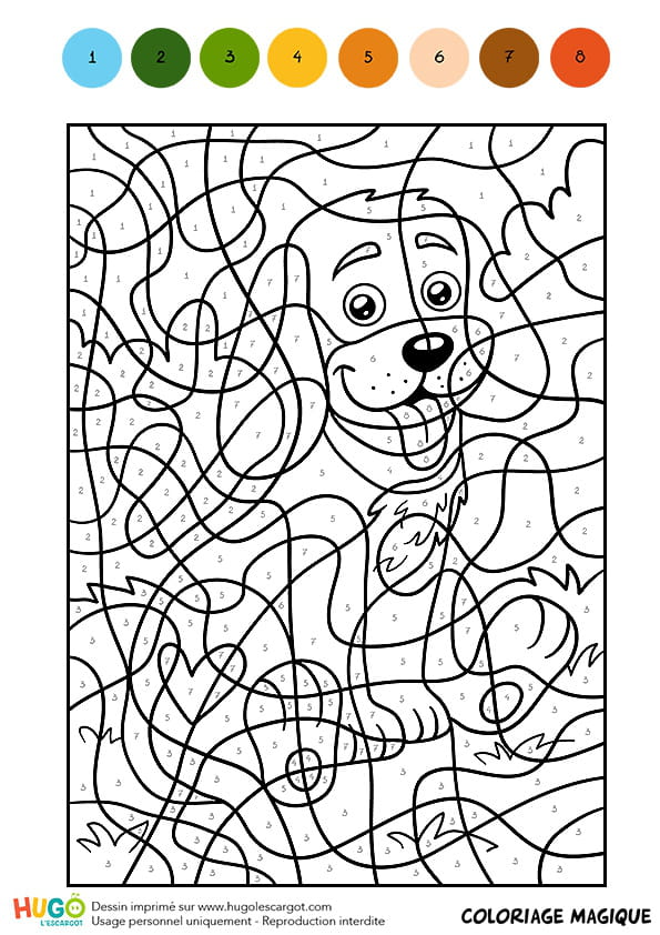 Animaux Coloriage Par Numeros