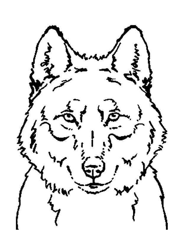 Coloriage De Chien Loup