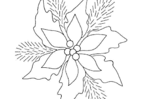 Coloriage houx decoration noel