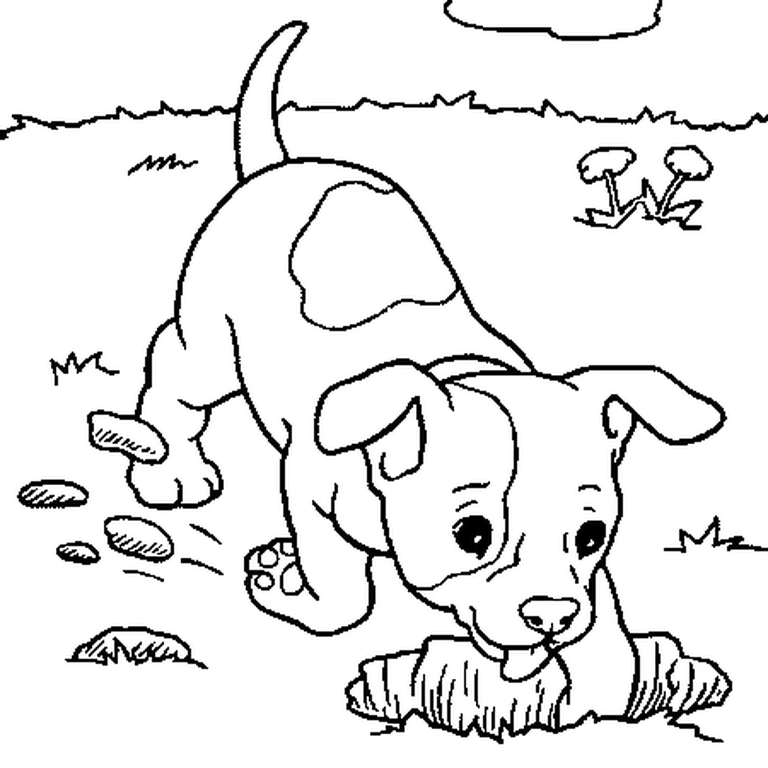 Coloriage Chien Et Chat A Imprimer Gratuit