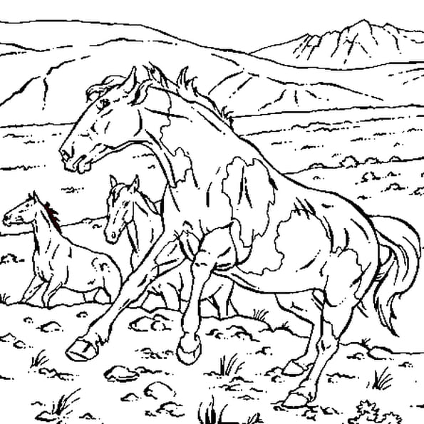 Coloriage Cheval Gratuit En Ligne