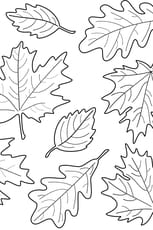 Coloriage multiples feuilles d'automne