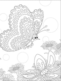 Un joli papillon butine les fleurs