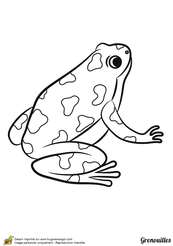 Coloriage Grenouille A Imprimer