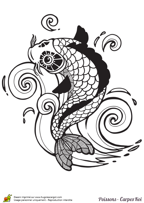 Coloriage Carpe Imprimer Coloriage Carpe Et Autres Animaux HQXNO