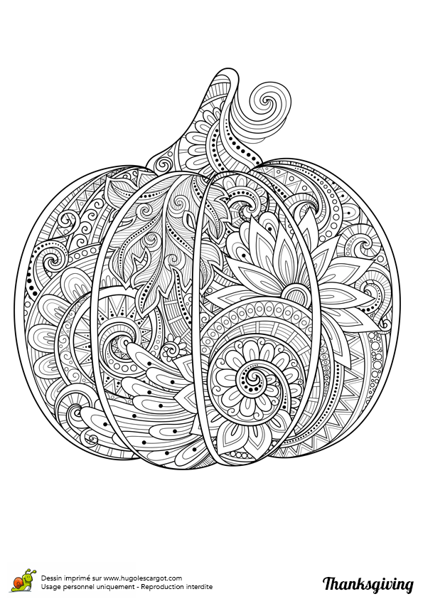 Coloriage D Une Citrouille