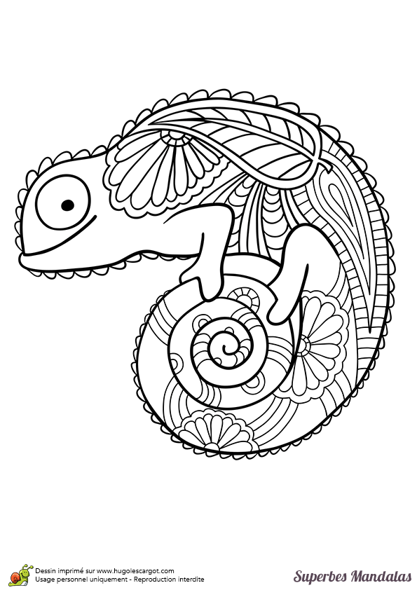 Coloriage D un Superbe Mandala En Forme De Cam l on