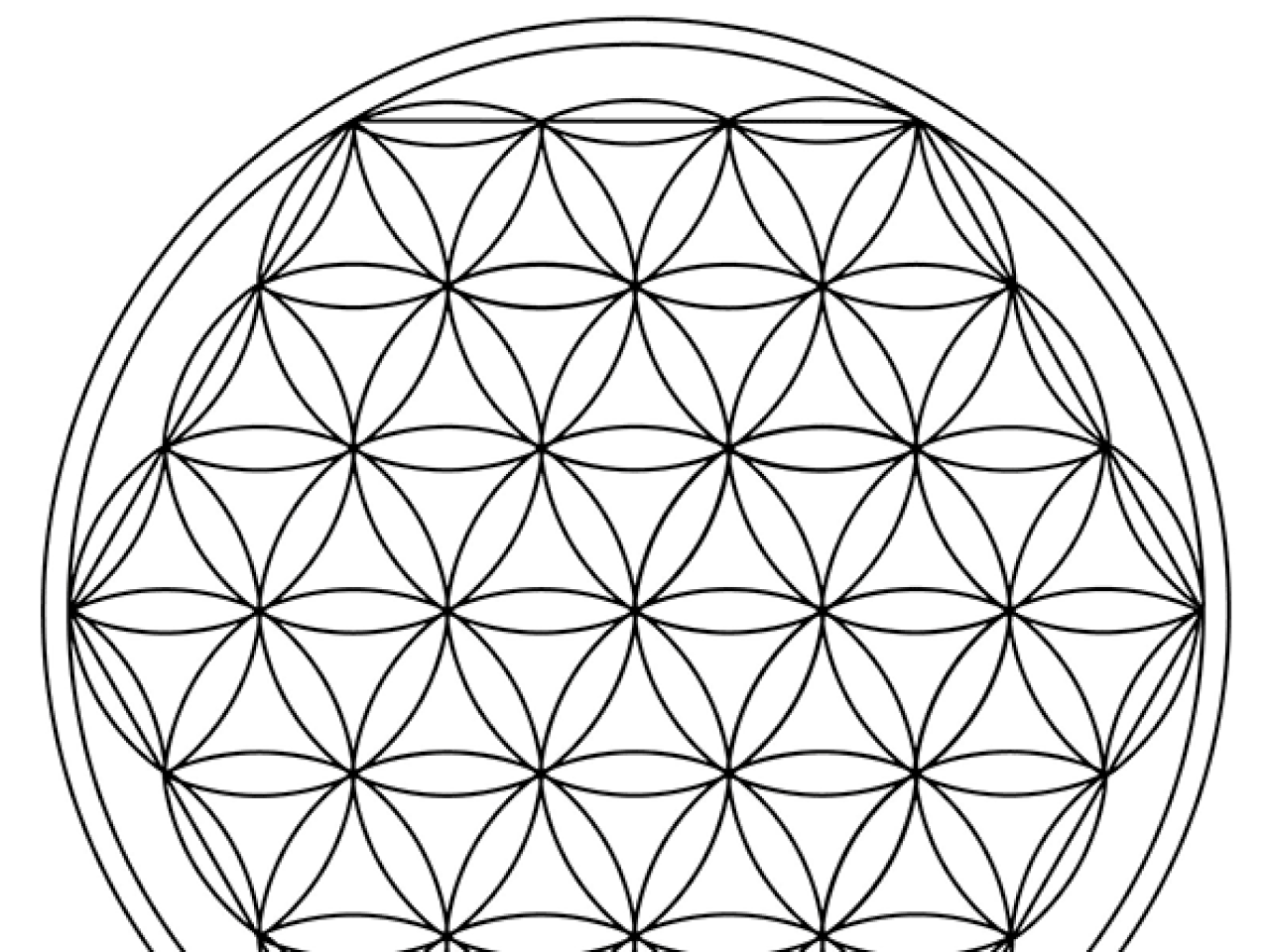 Les 21 Secrets De La Fleur De Vie Pdf
