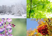 Les dates des 4&nbsp;saisons en 2024&nbsp;(printemps, &eacute;t&eacute;, automne, hiver)