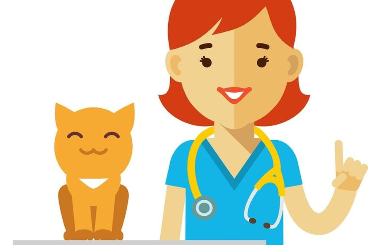 La P Tite Chatte A Ma Tante Chansons Pour Enfants Sur Hugolescargot Com