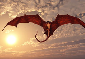 Tout savoir sur les dragons&nbsp;?