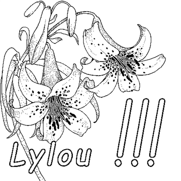 Coloriage Zorro En Ligne