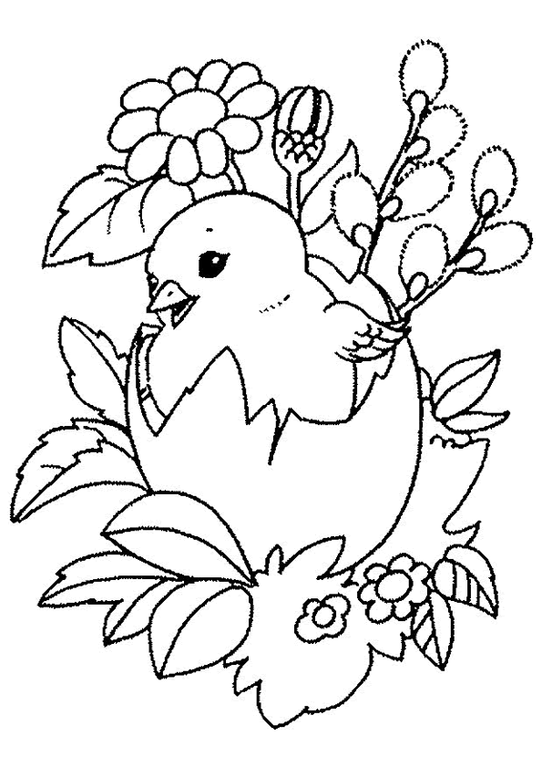 Coloriage A Imprimer Poussin