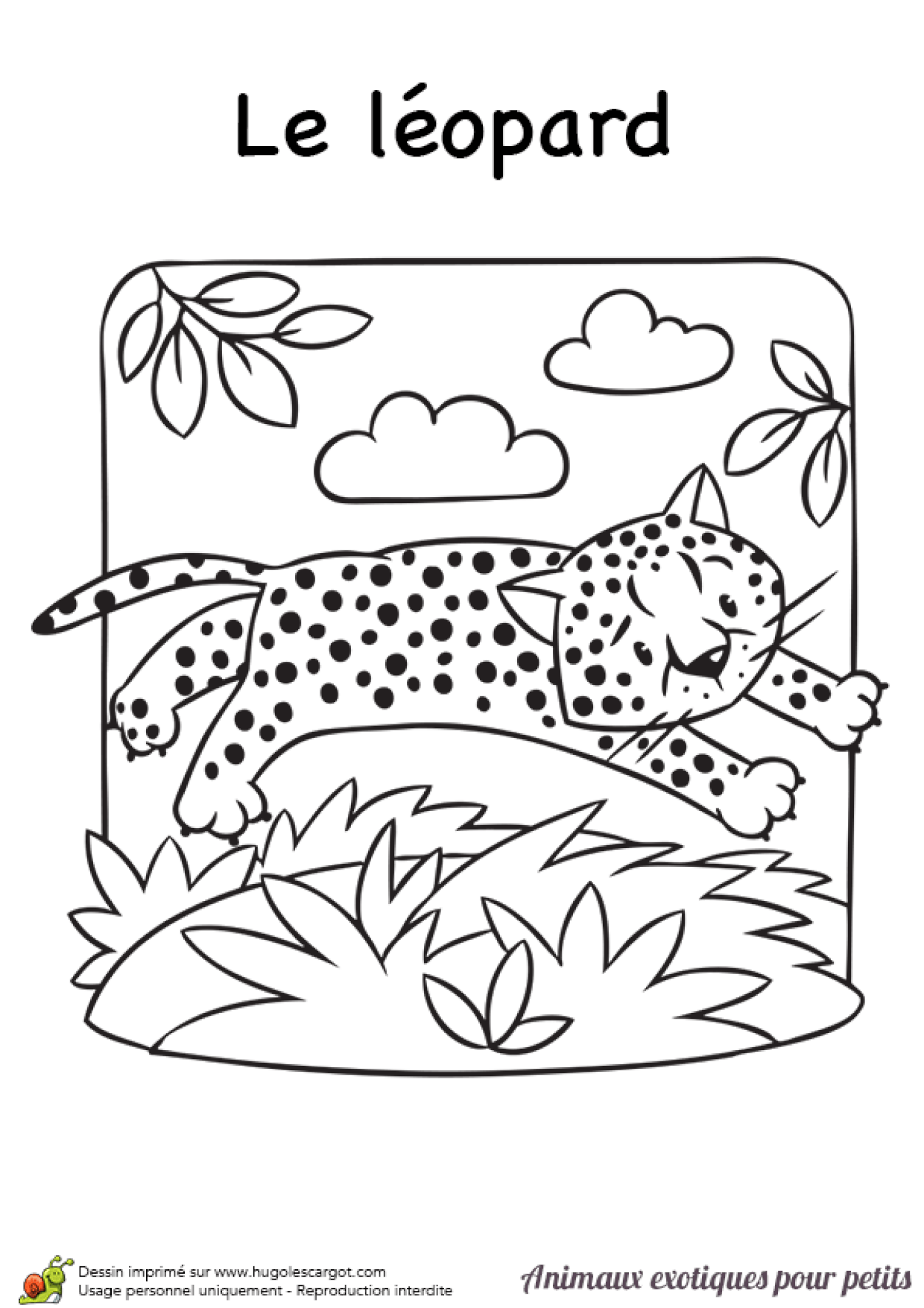 Coloriage Animaux Exotiques Pour Petits Le Leopard