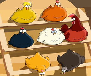 J'ai des poules &agrave; vendre