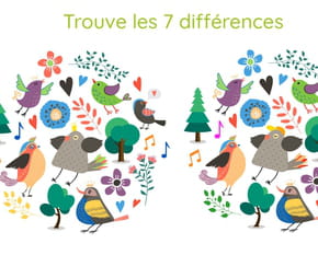 Le jeu des 7&nbsp;diff&eacute;rences&nbsp;: les oiseaux