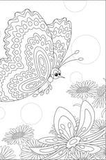 Un joli papillon butine les fleurs