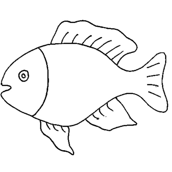 Coloriage Gratuit A Imprimer Poisson D Avril