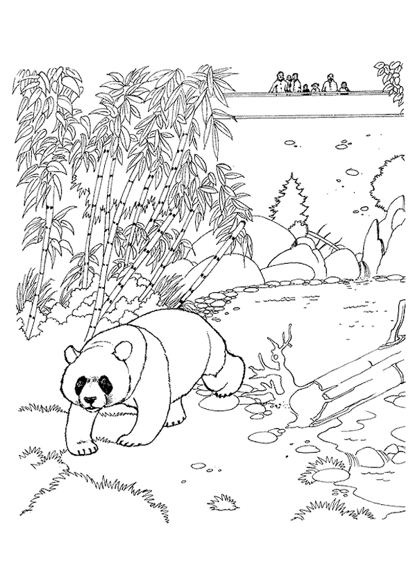 Coloriage Animaux De Zoo