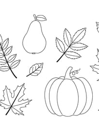 Coloriage des &eacute;l&eacute;ments de l'automne