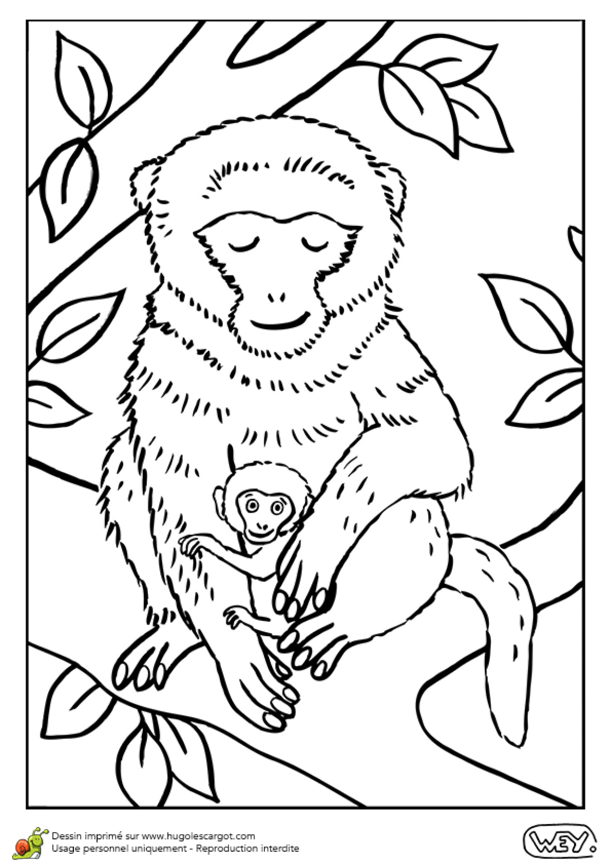 Dessin A Colorier D Une Maman Macaque Et De Son Petit
