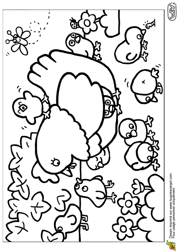 Coloriage Poule Et Oeuf