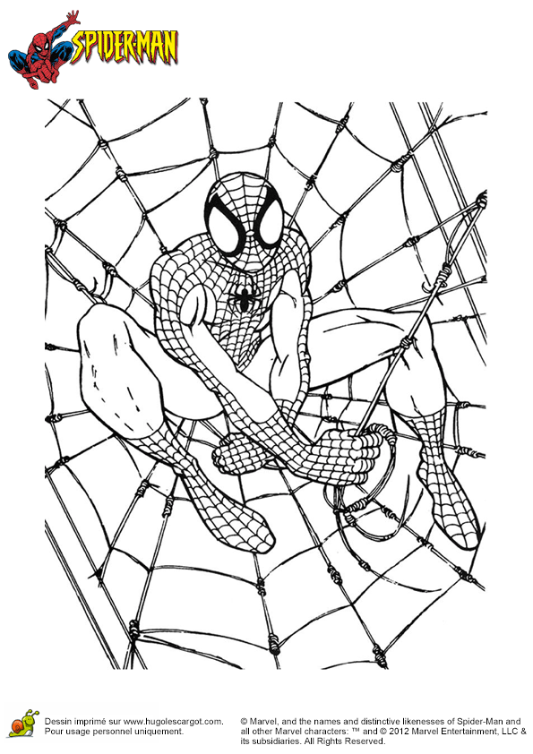 Dessin Spiderman Coloriage Spider Man Dans Le Journal Momes Net Dessin Spiderman Coloriage Spider Man Dans Le Journal Momes Net