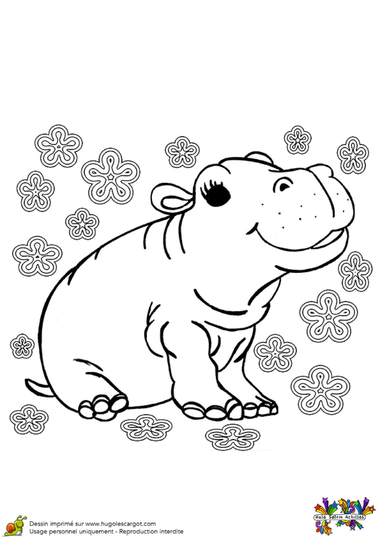 Coloriage Bebe Hippopotame Sur Hugolescargot Com