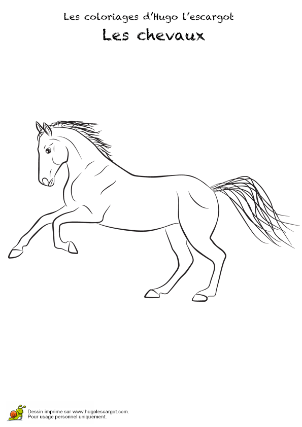 Coloriage Sur Hugo L Escargot