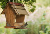 6&nbsp;mangeoires &agrave; oiseaux DIY