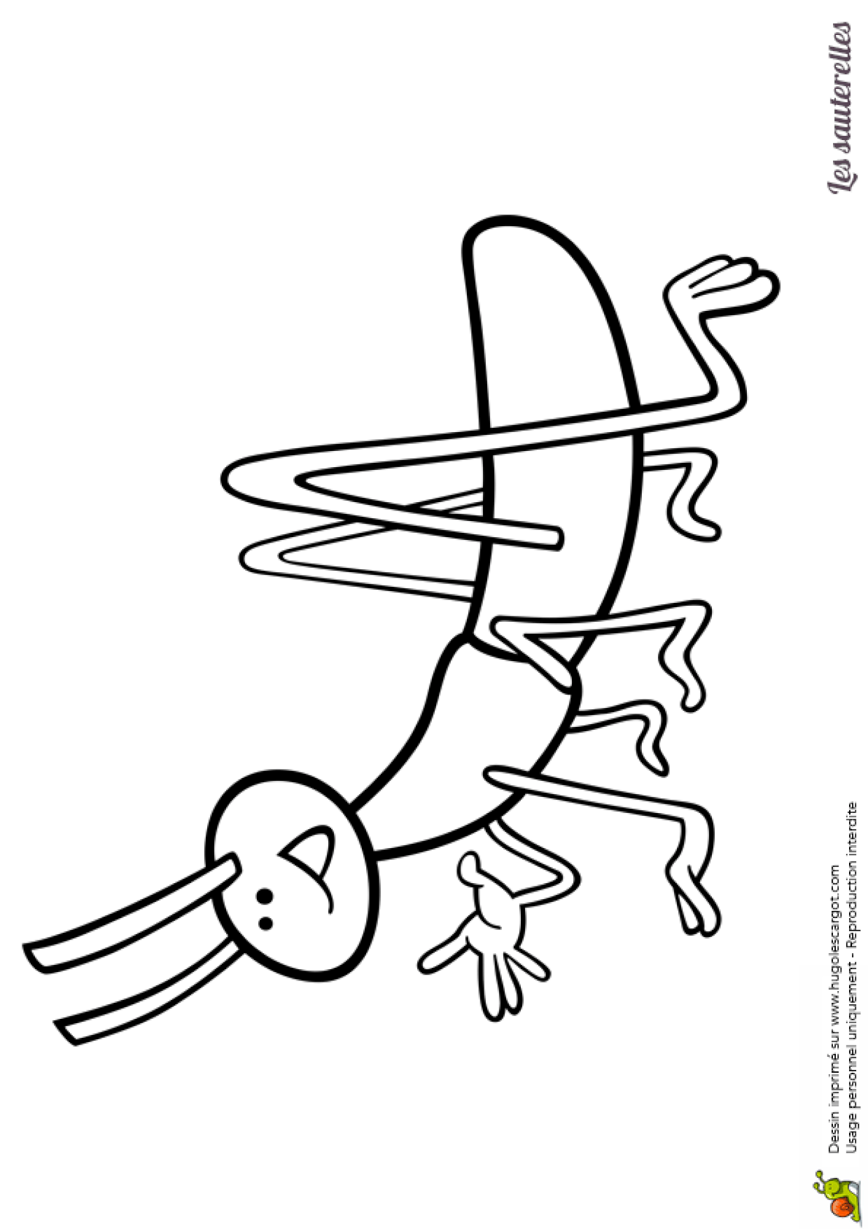 Coloriage Sauterelle Stylisee Coloriage Sauterelle Stylisee