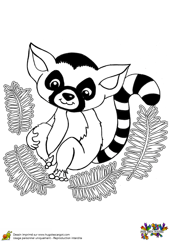 Coloriage Bebe Animaux A Imprimer