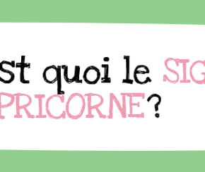 C'est quoi le signe du capricorne&nbsp;?