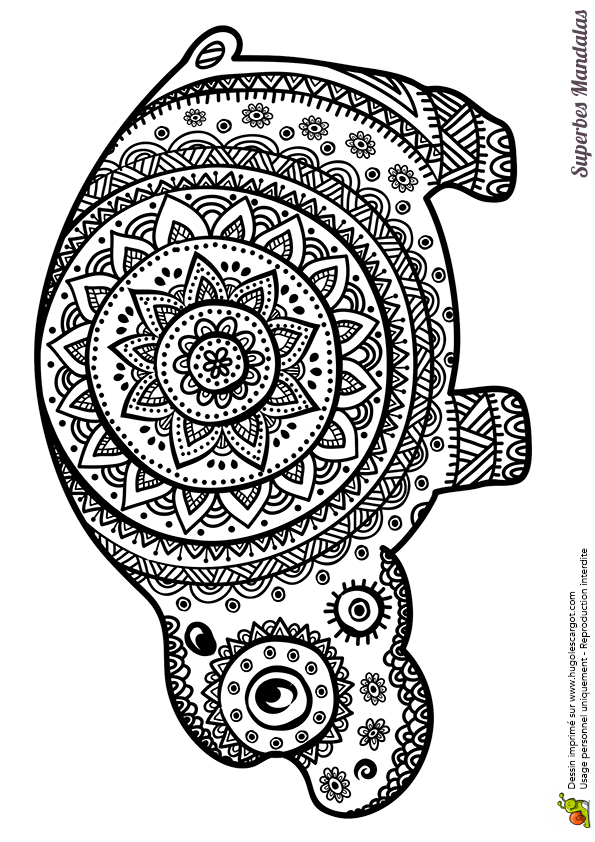 Coloriage D Hippopotame A Imprimer